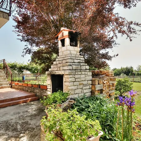 Paradinovic 1 *