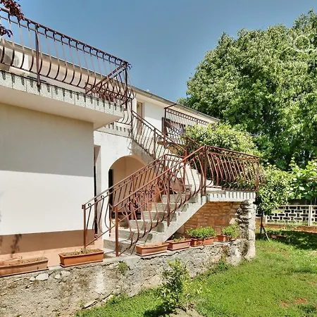 Paradinovic 1 *