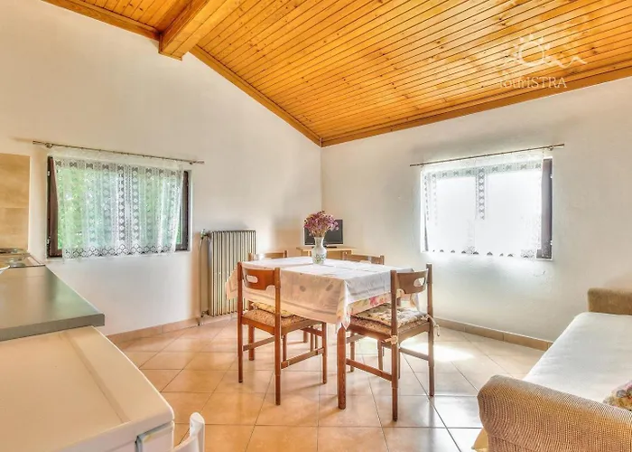 Apartman Paradinovic 1